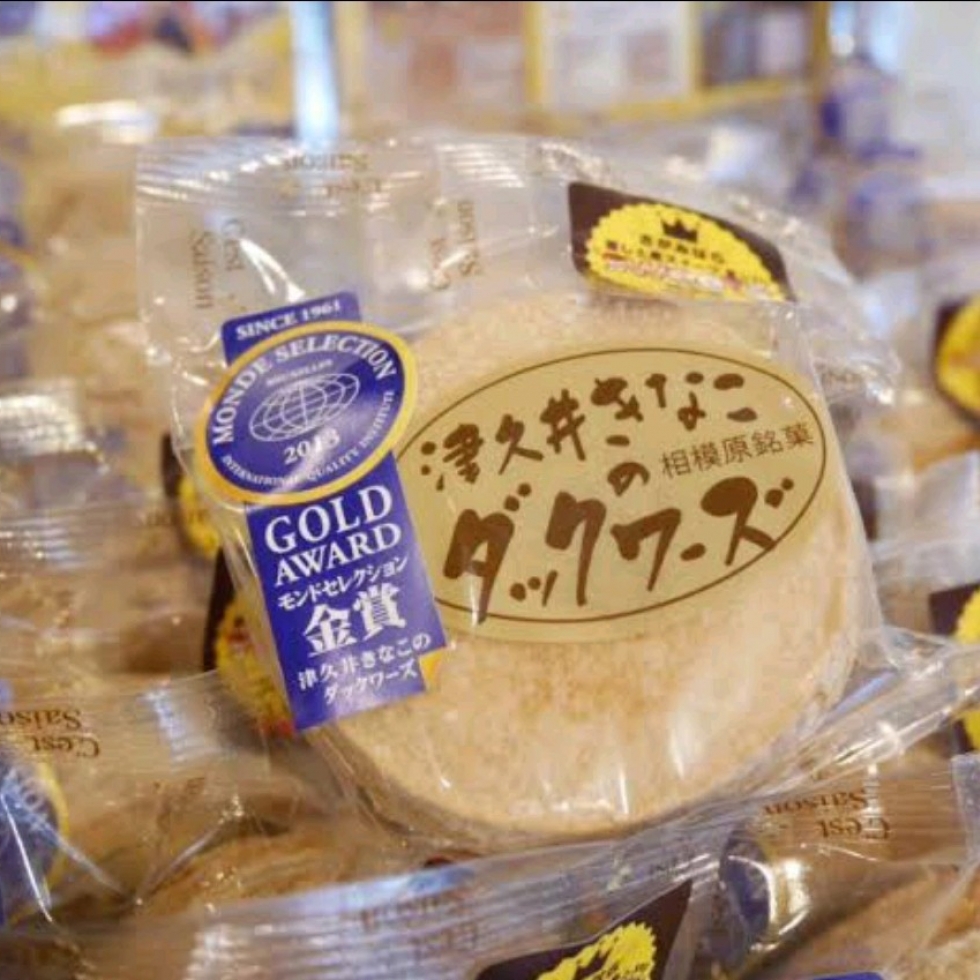 �Ëv�䂫�ȕ��̃_�b�N���[�Y