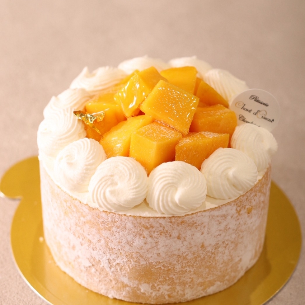 �V�����e�B�}���S�[