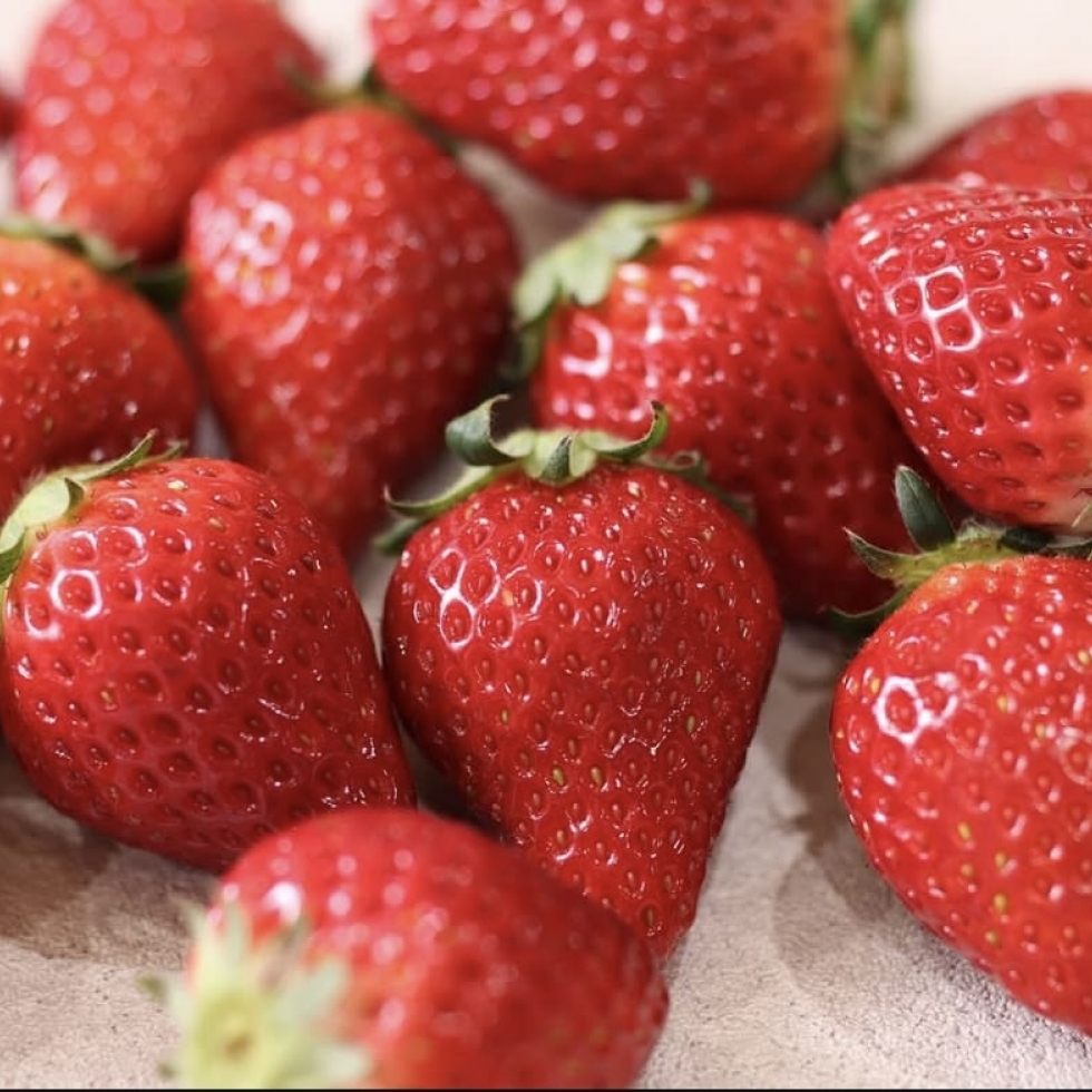 䕃t�F�A �P�[�L�Z�b�g