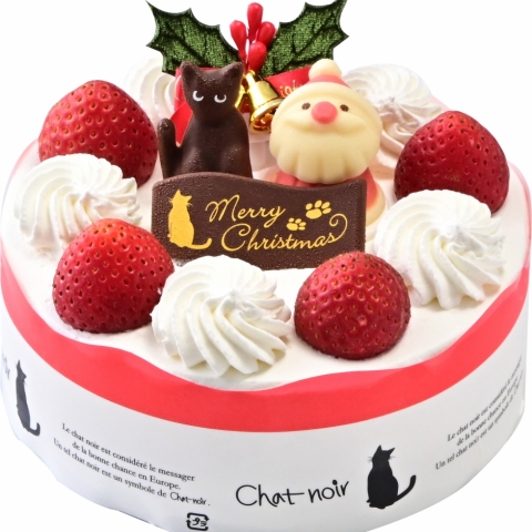 TCY̑Iׂ锒N[fR[Vy䕃Thz