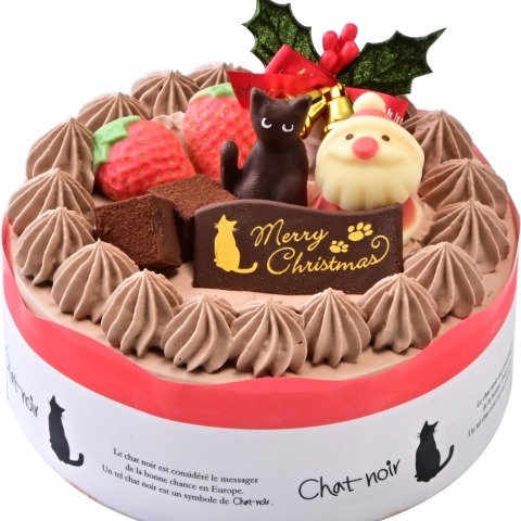 TCY̑Iׂ`RN[fR[Vy`RThz