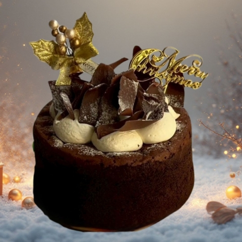 2025�K�g�[�V���R��X'mas