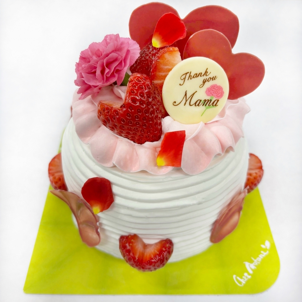 ��̓��f�R���[�V����