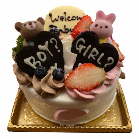 �W�F���_�[���r�[���P�[�L