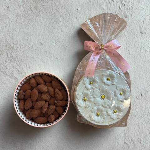 �A�}���h�V���R��