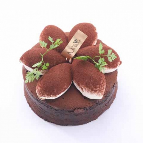 �K�g�[�V���R��