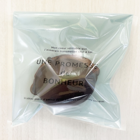 �G�ߌ���@�`���R�������P�[�L