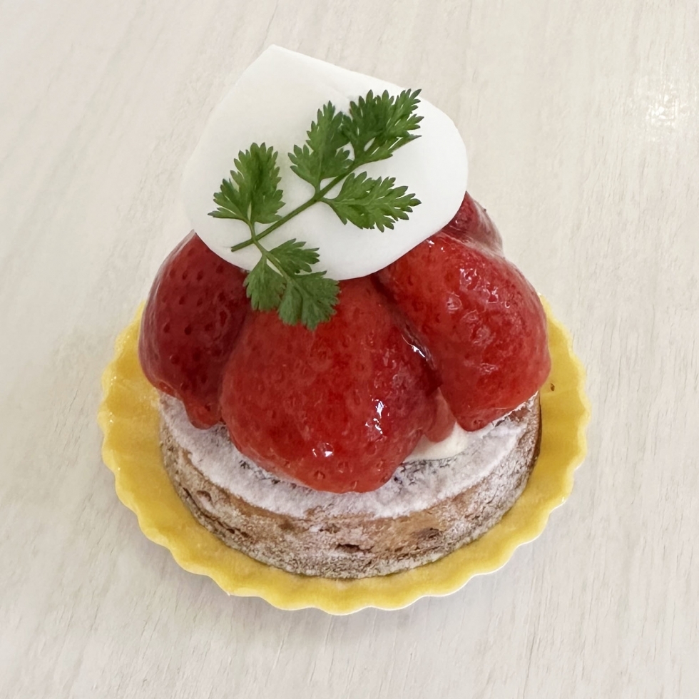 �G�߂̃t���[�c�^���gS