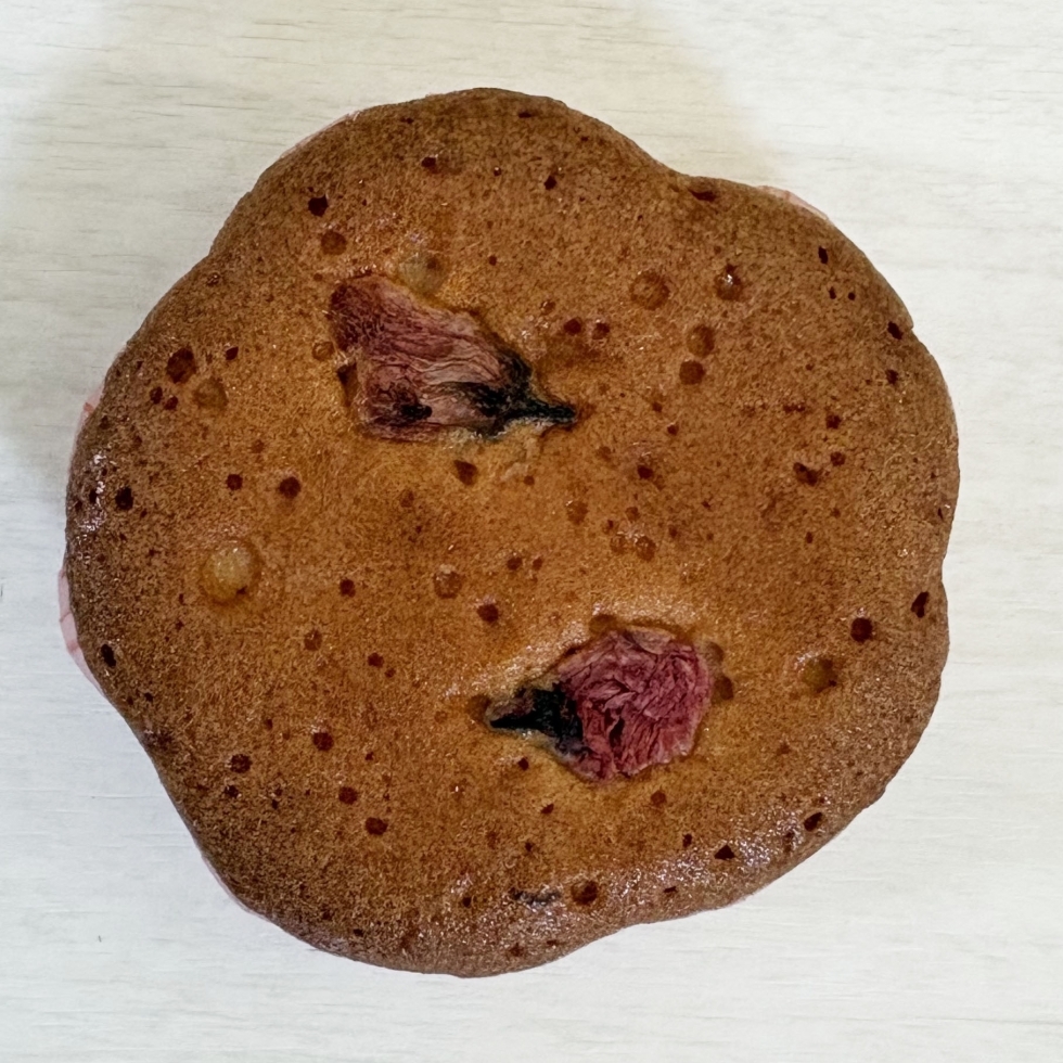 �G�ߌ���@������P�[�L