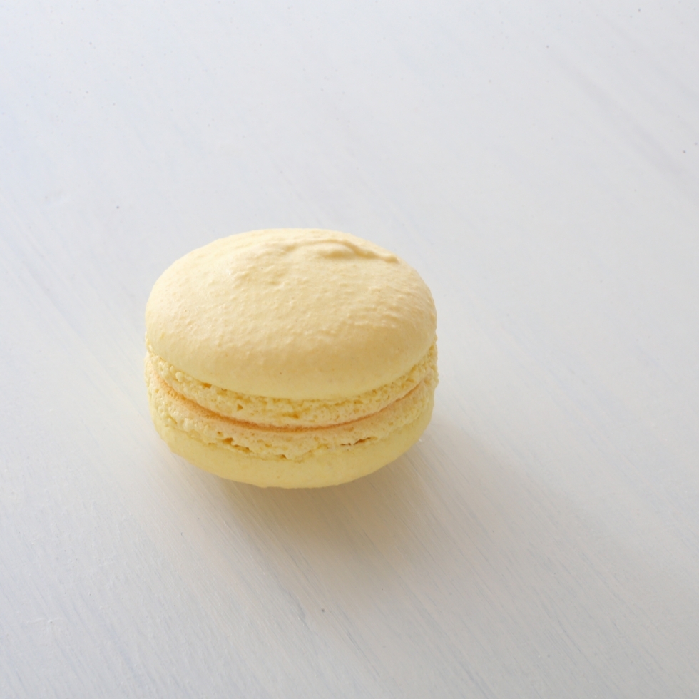 �}�J�����V�g����