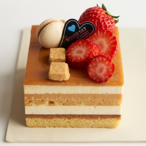 �L���������o�j��