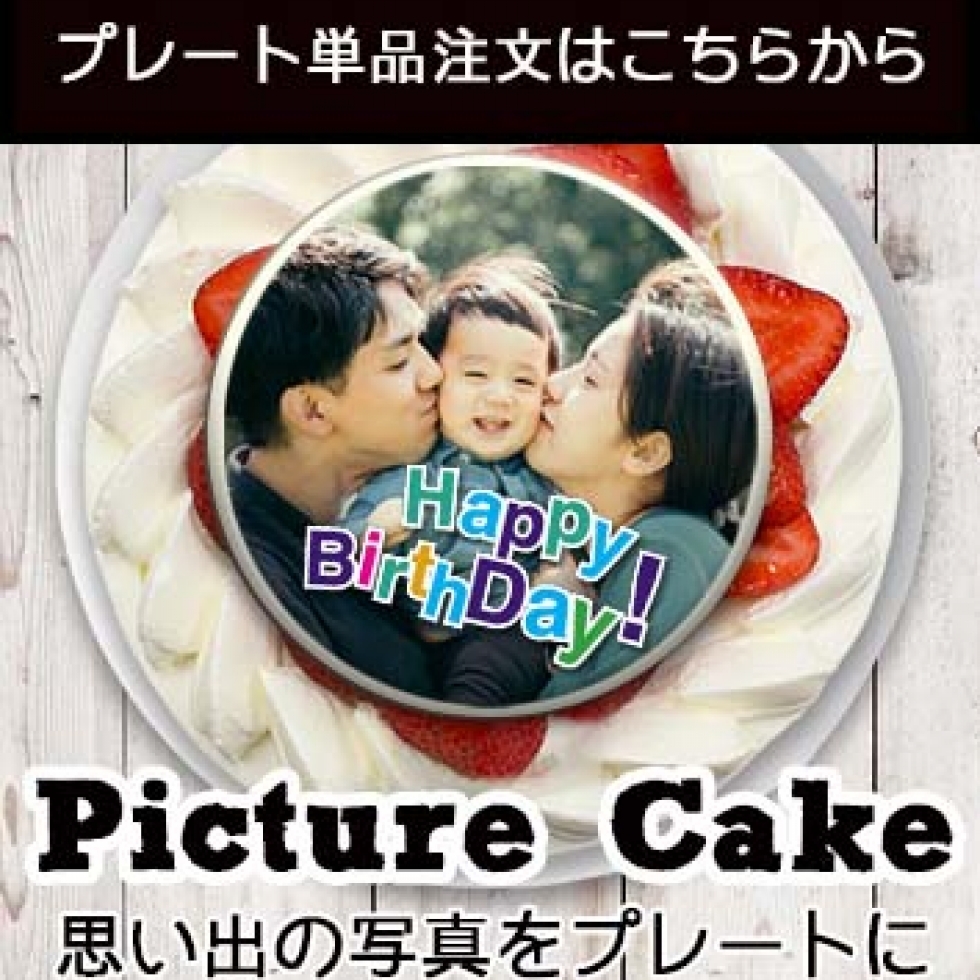 �ʐ^�v���[�g�q�z���r