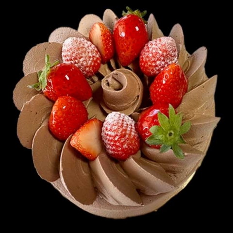 �y�X�����z�V���R���t���[�Y