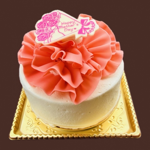 �J�[�l�[�V�����P�[�L