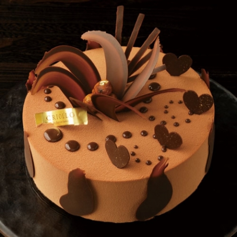 �v�����l�E�m���[�b�g10�����󂯎�蕪