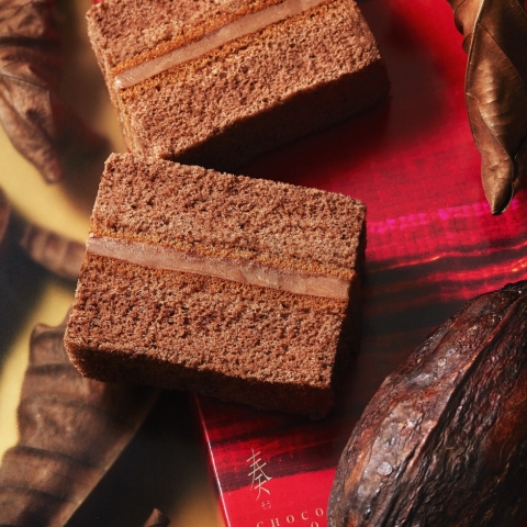 �t�@10����