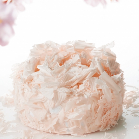 Pure`SAKURA`X