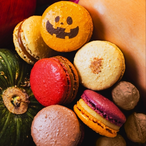 �}�J�����@�I�[�^�����n���E�B�� �Z���N�V����
