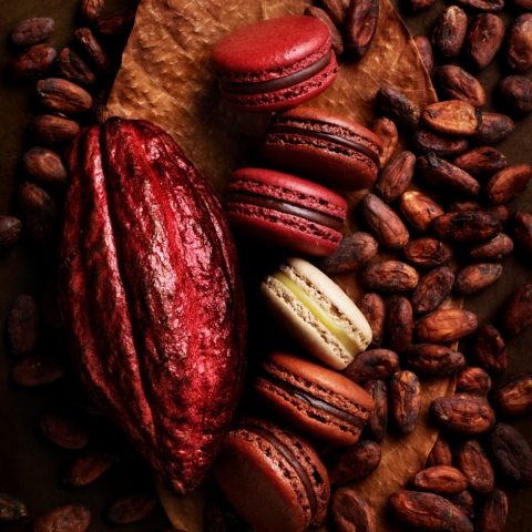 �}�J�����@�o�����^�C���Z���N�V����