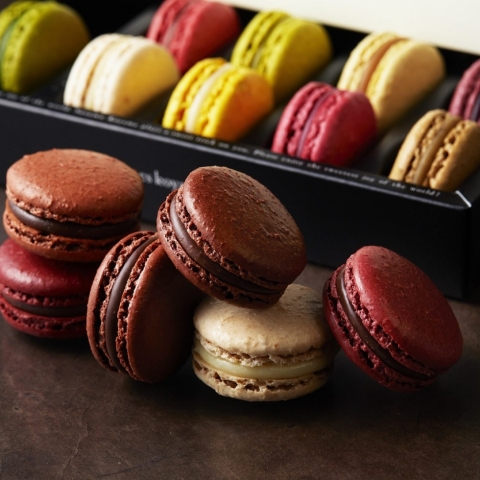 �}�J�����M�t�g�@�J�J�I�y�A�����O�Z���N�V����