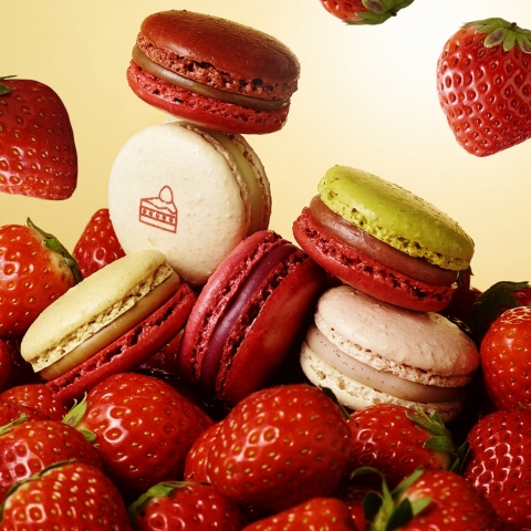 �}�J�����@�t䕃Z���N�V����