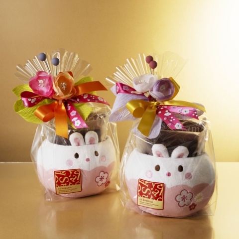 ��������t�o�X�P�b�g