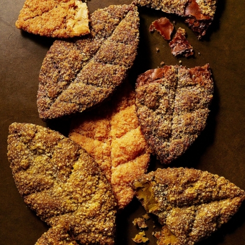 �o�^�[���[�t�p�C�@�U������