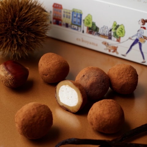 ق }̐`R啟Mochi