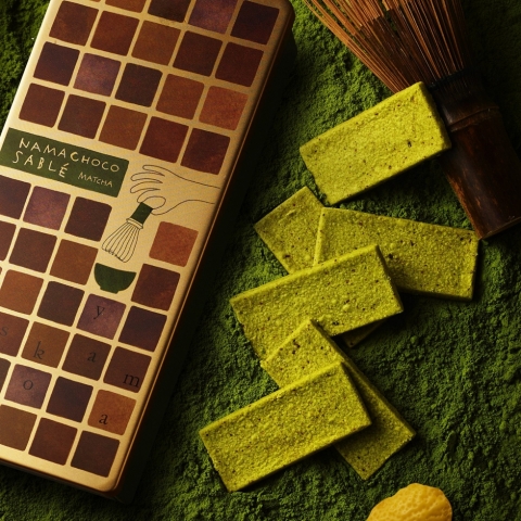 ���`���R�T�u�� �F�������{�M�q