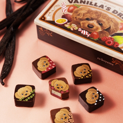 �o�j������̖�