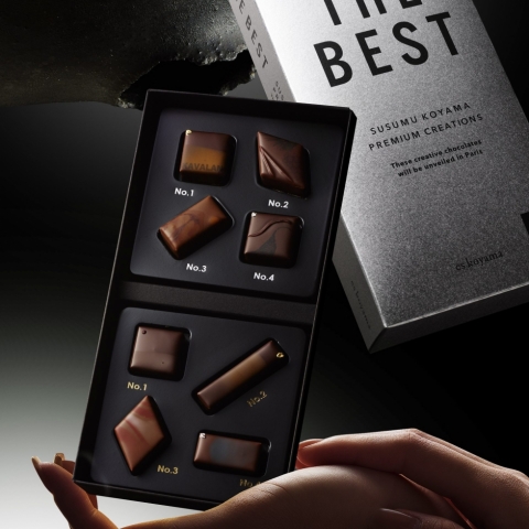 THE BEST SUSUMU KOYAMA PREMIUM CREATIONS 2024-2025