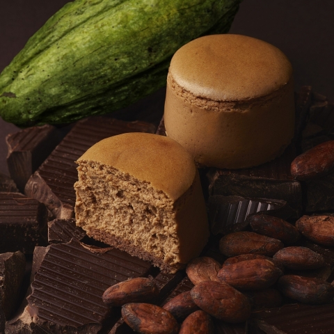 ���R�`�[�Y�{�V���R�� ���L�V�R�z���C�g�J�J�I74��