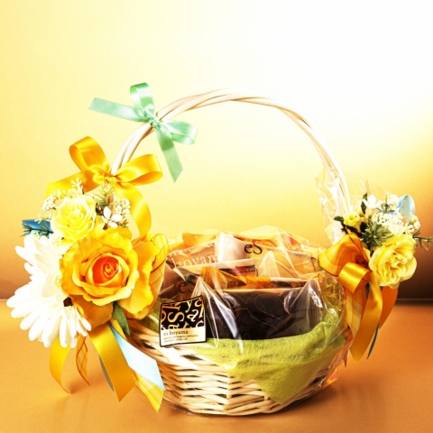 �A�����W���[�Y�o�X�P�b�g