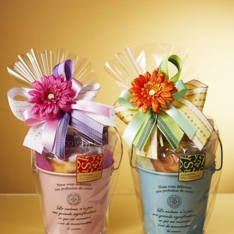 �J���p�[�j���K�[�x���o�P�c