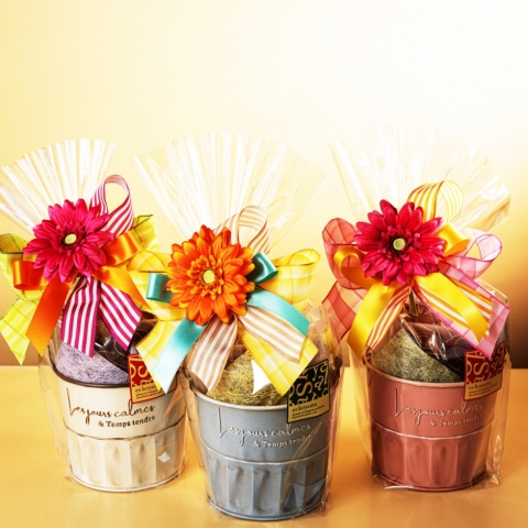 �W���C�t���p�X�e���o�P�c