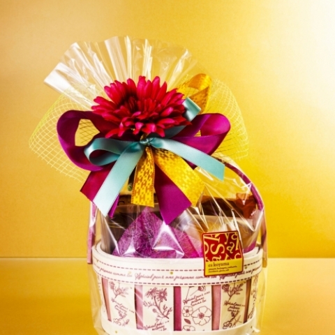 �G�X�|���[���K�[�x���o�X�P�b�g