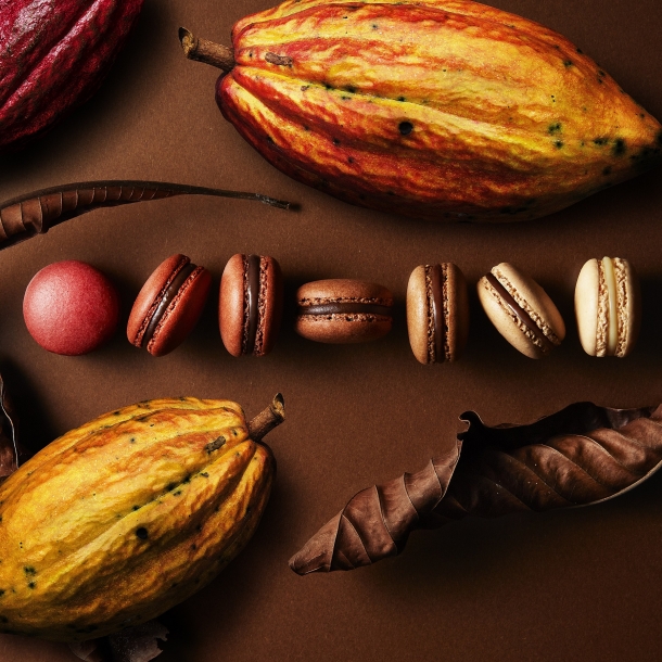 MC-07 パティシエ エス コヤマ