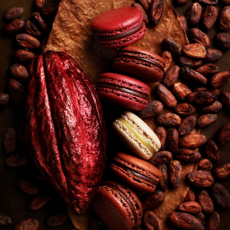 �}�J�����@�o�����^�C���Z���N�V����