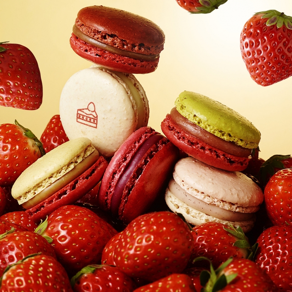 �}�J�����@�t䕃Z���N�V����