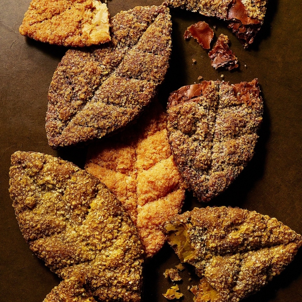 �o�^�[���[�t�p�C�@�P�O������