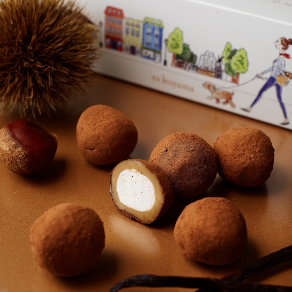 ق }̐`R啟Mochi