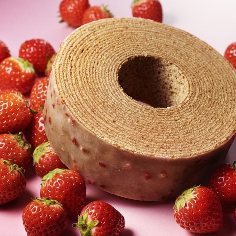 ���R���o�E���N�[�w���`�t�������`