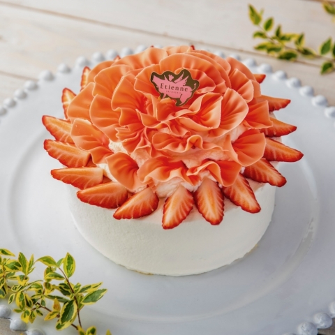 ��̓��V���[�g�P�[�L