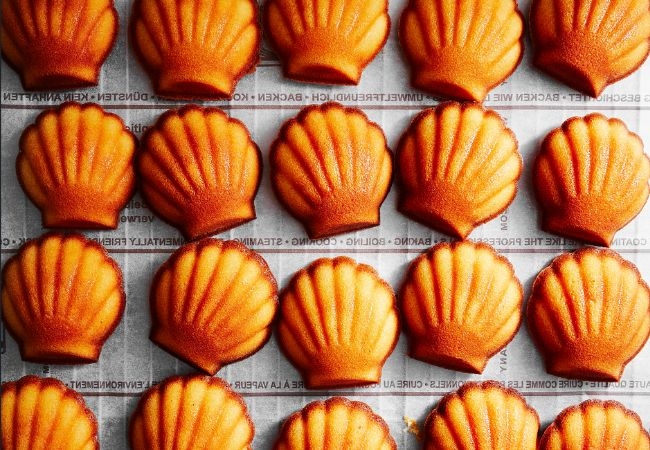 【サイン】フォルテシモアッシュ フォルテシモ アッシュ_official (@fortissimo_h) · Nagoya-shi