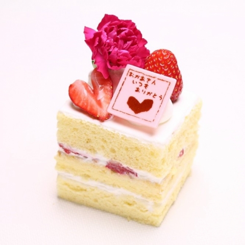 ��̓��V���[�g