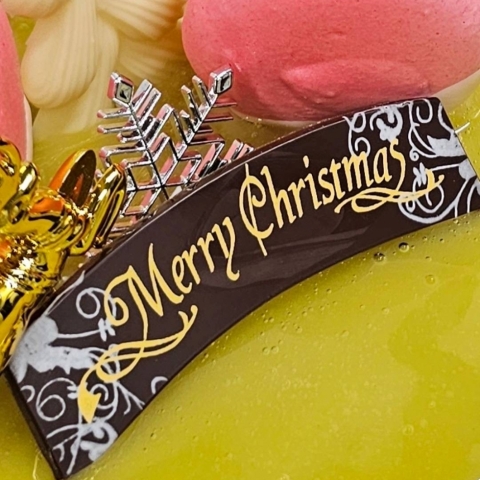 �����[�G���K���X(�`���R�v���[�g)