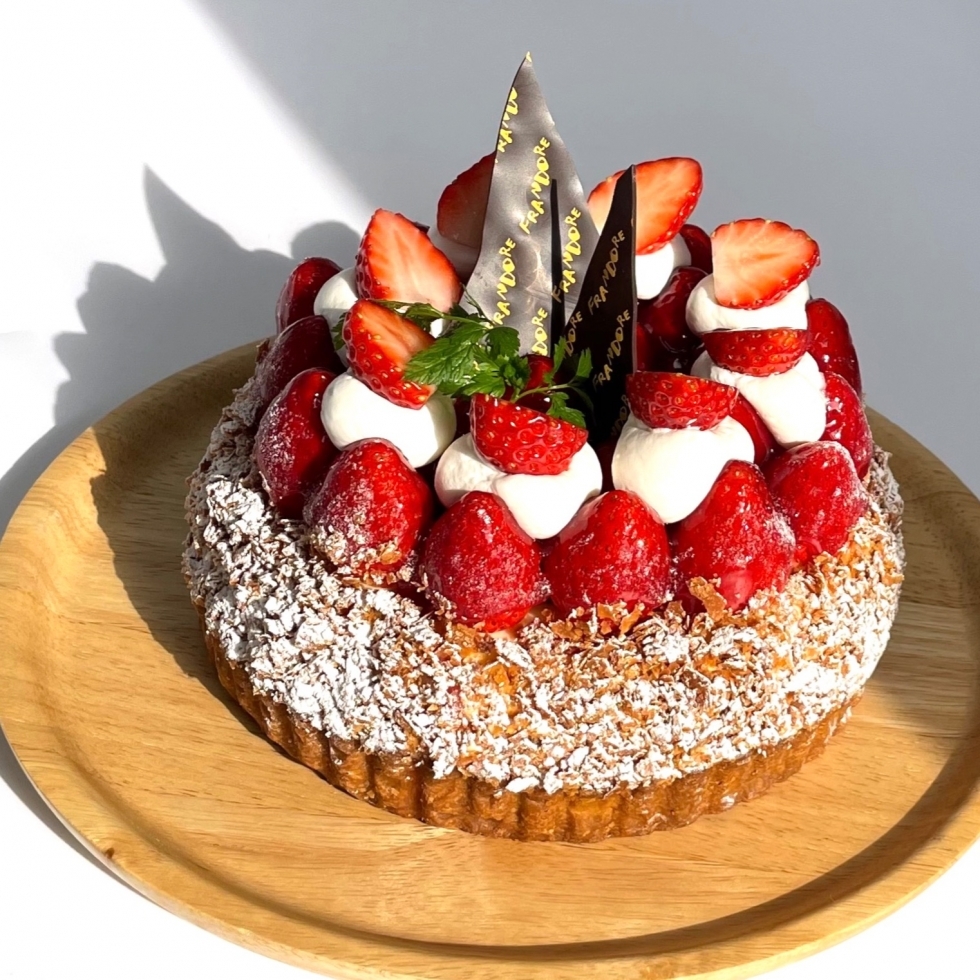 �������^���g