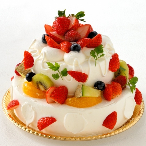 �A�j�o�[�T���[�t���[�c2�i