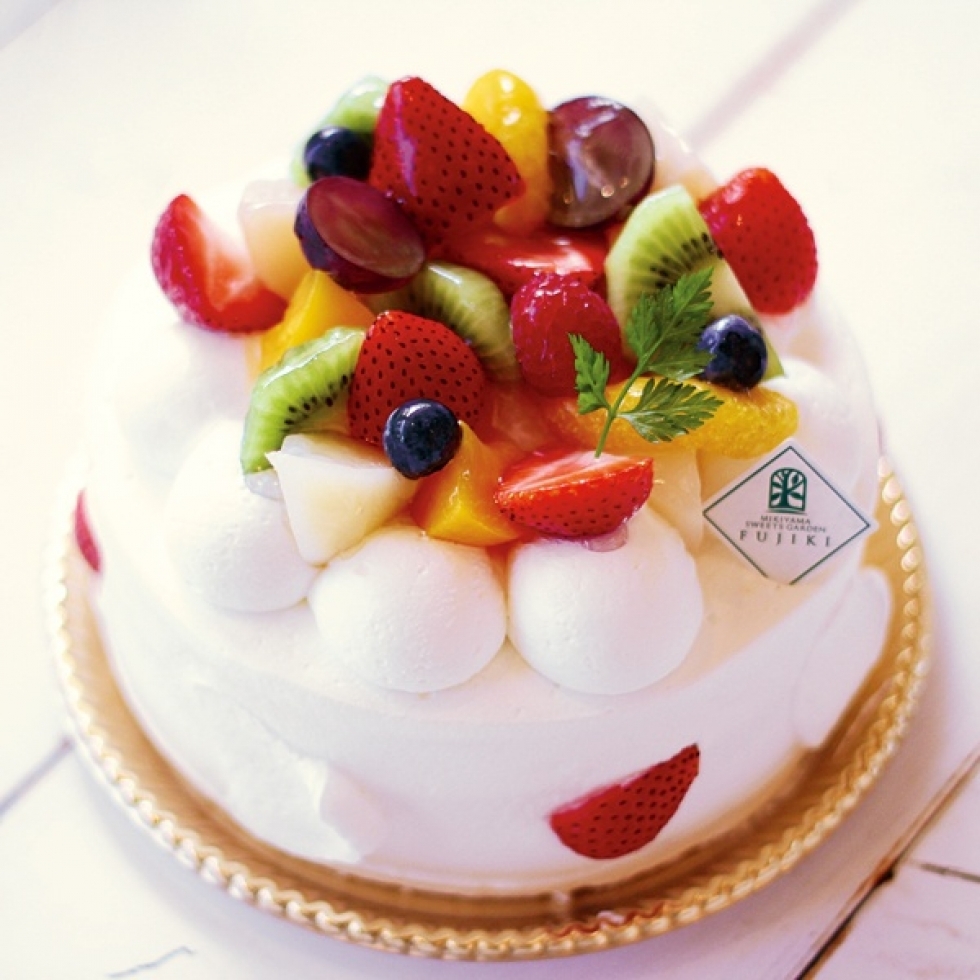 �A�j�o�[�T���[�t���[�c