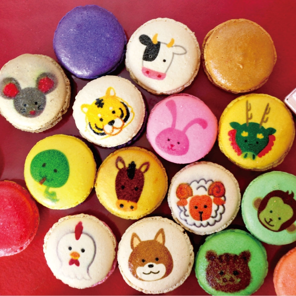 ���x�}�J����